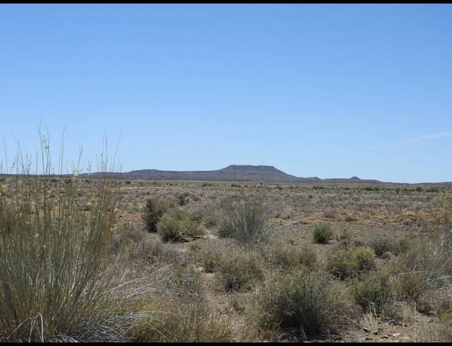2,363HA FARM FOR SALE IN MERWEVILLE
